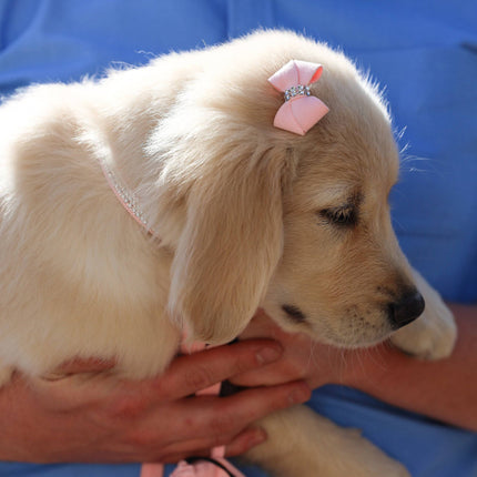 Nouveau Bow Hair Bow