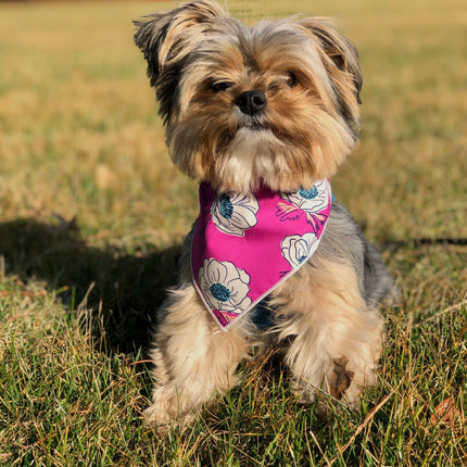 Purple Anemone Bandana