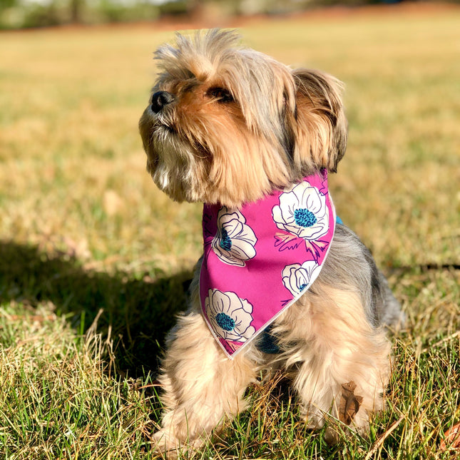 Purple Anemone Bandana