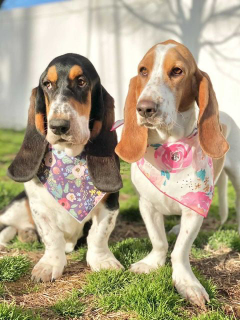 Purple Flower Dog Bandana