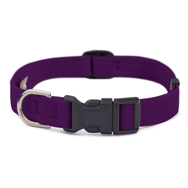 Amethyst Quick Release Collar