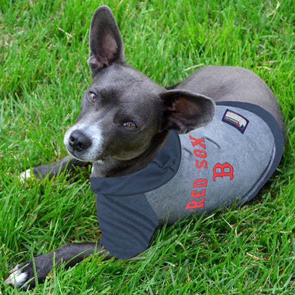 Boston Red Sox Hoody Dog Tee