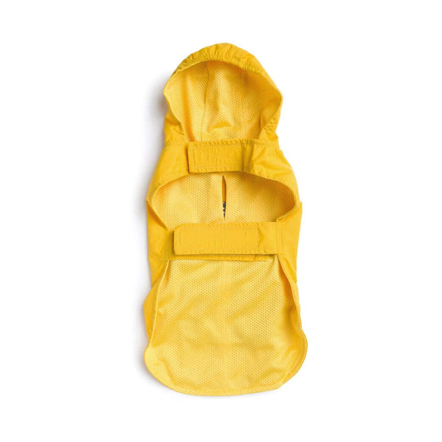 Yellow Raincoat