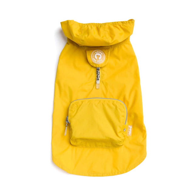 Yellow Raincoat