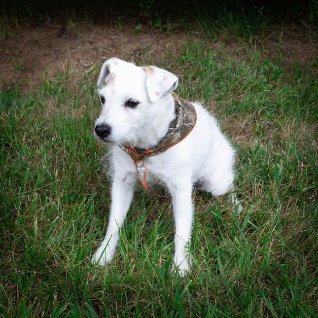 Realtree Camo Dog Bandana - FREE PERSONALIZATION