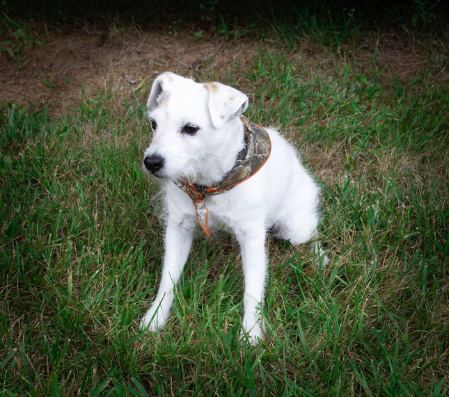 Realtree Camo Dog Bandana - FREE PERSONALIZATION