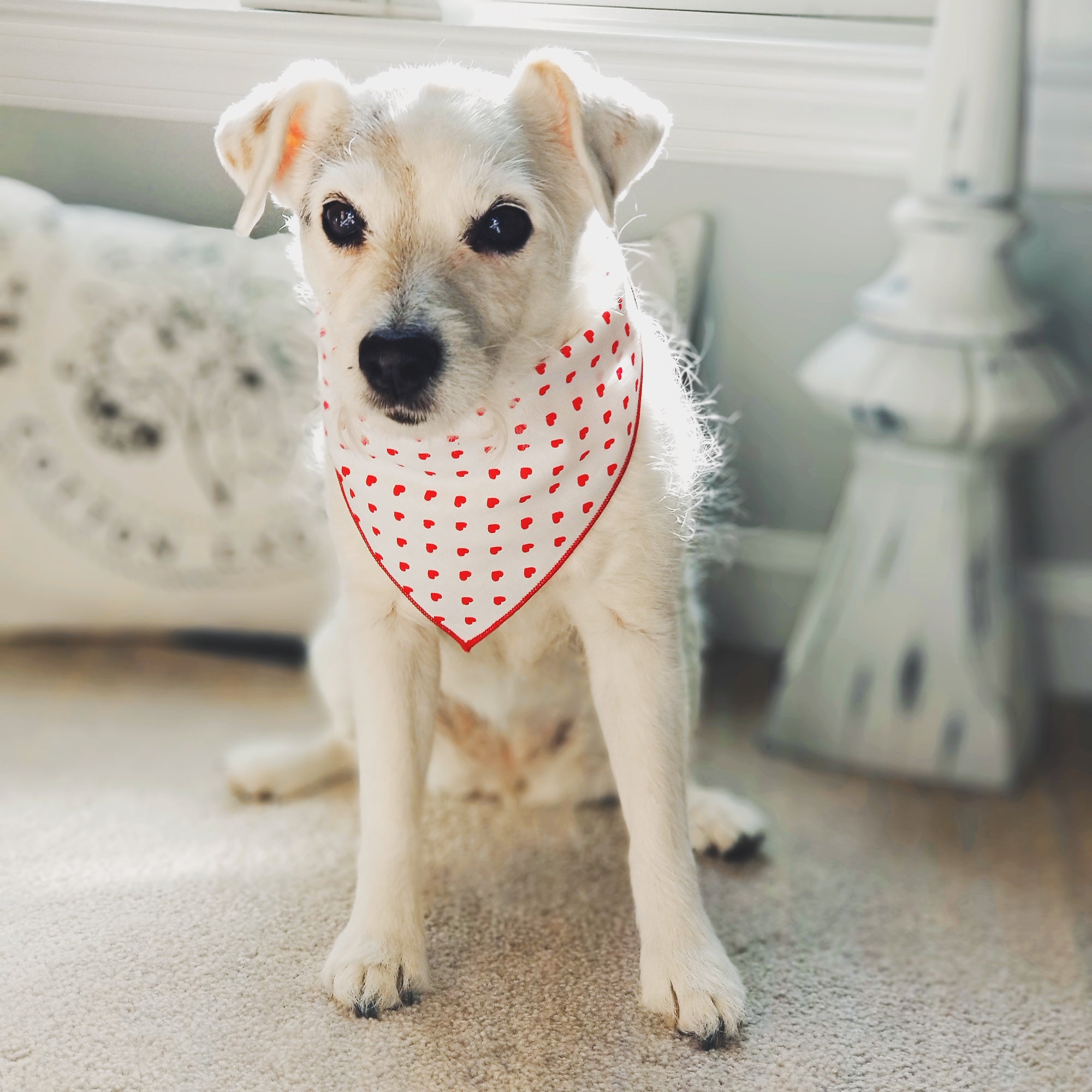 Red Hearts Valentine Bandana