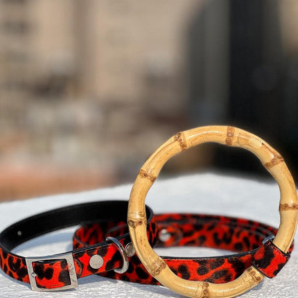 Sasha Leash - Red Leopard