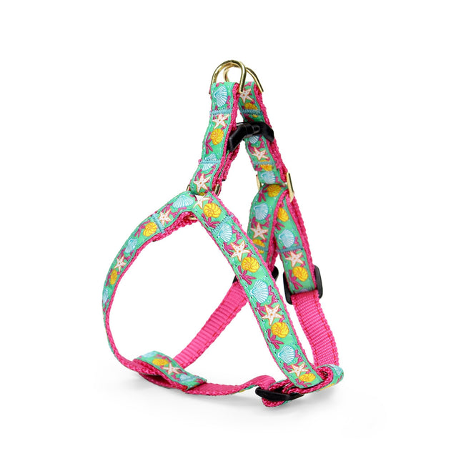 Reef Small Breed Dog Harness