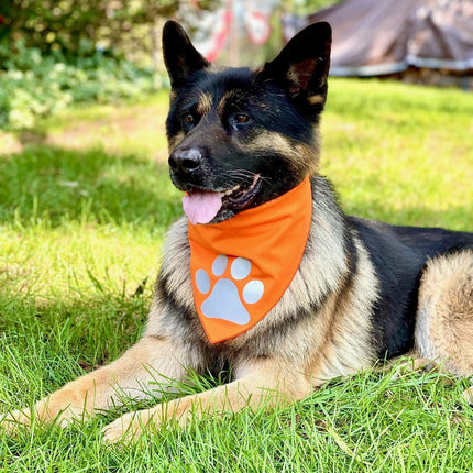 Reflective Dog Bandana Orange