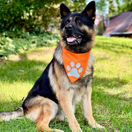 Reflective Dog Bandana Orange