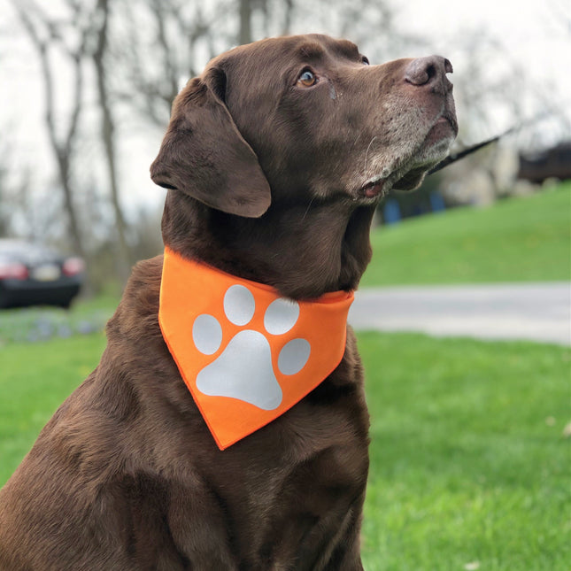 Reflective Dog Bandana Orange