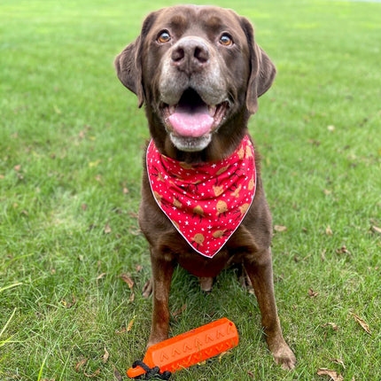 Reindeer Dog Bandana