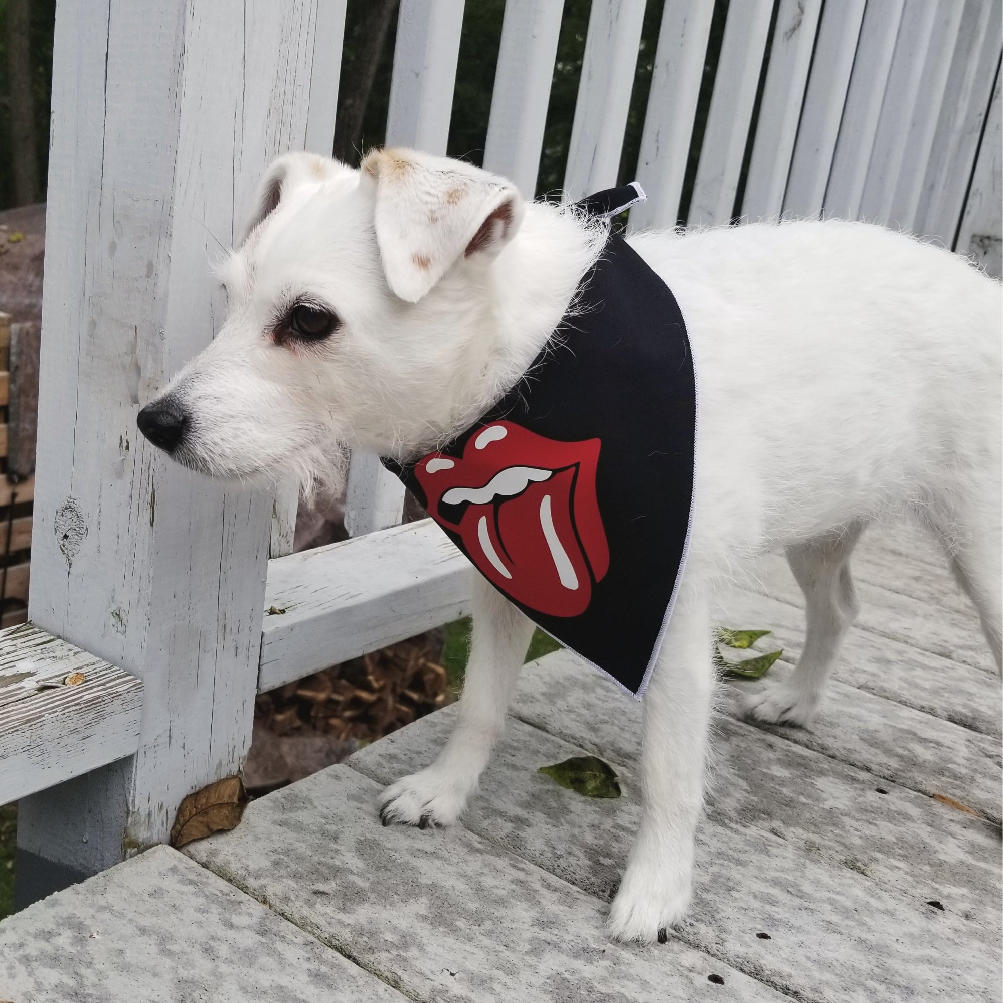 Rockin Roll Tongue Dog Bandana