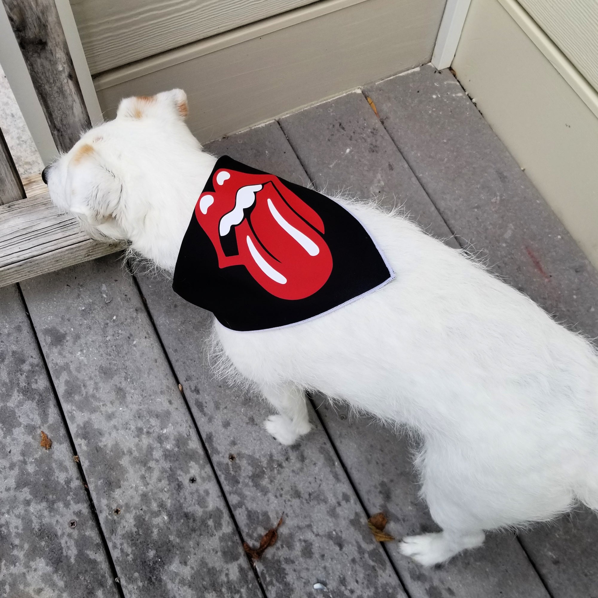 Rockin Roll Tongue Dog Bandana