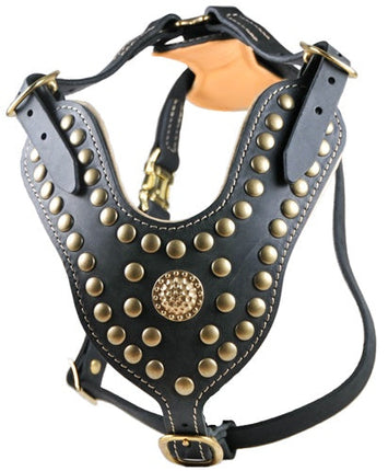 Royal Stud Harness