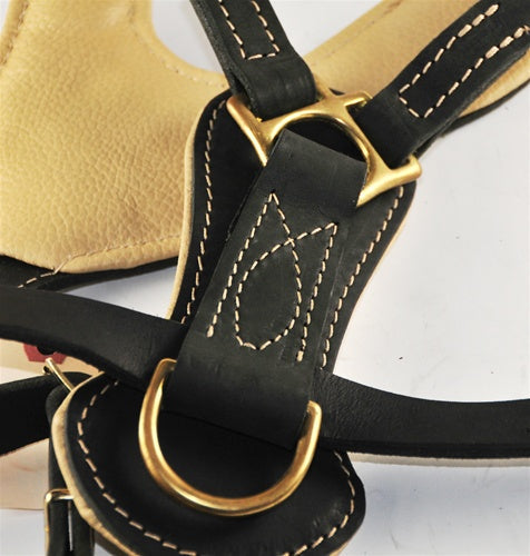 Royal Stud Harness