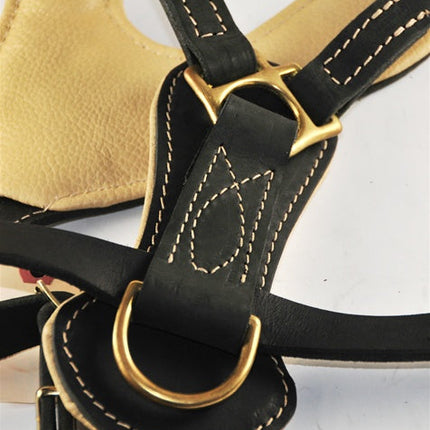 Royal Stud Harness