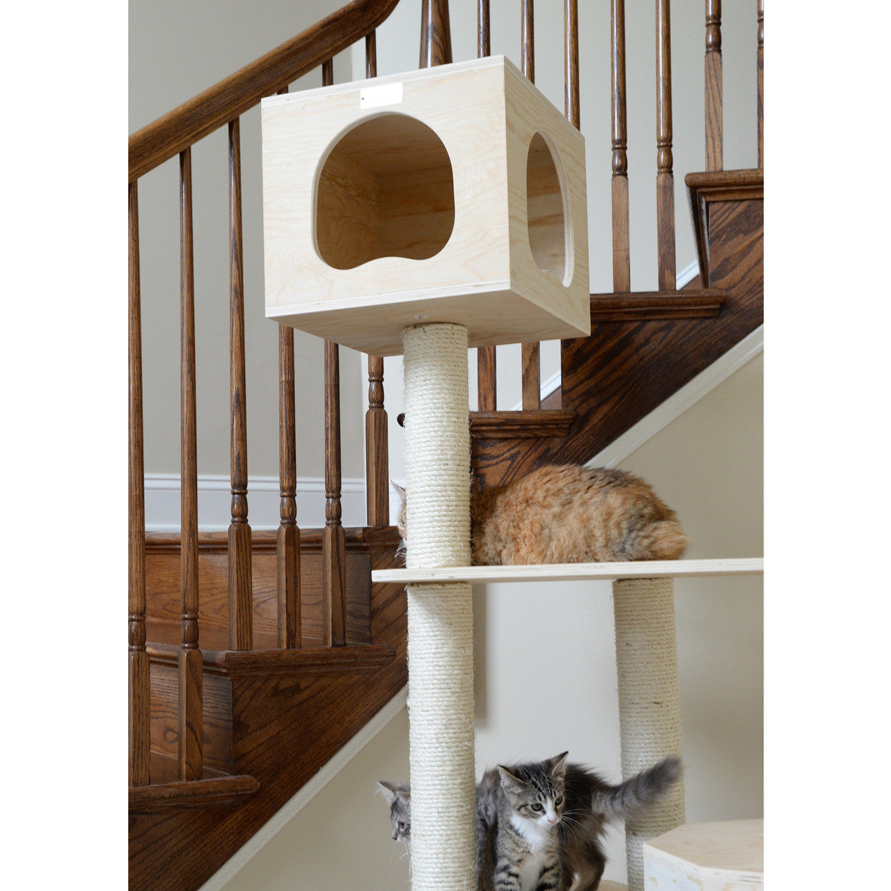 Premium Pinus Sylvestris Wood Cat Tree S8502