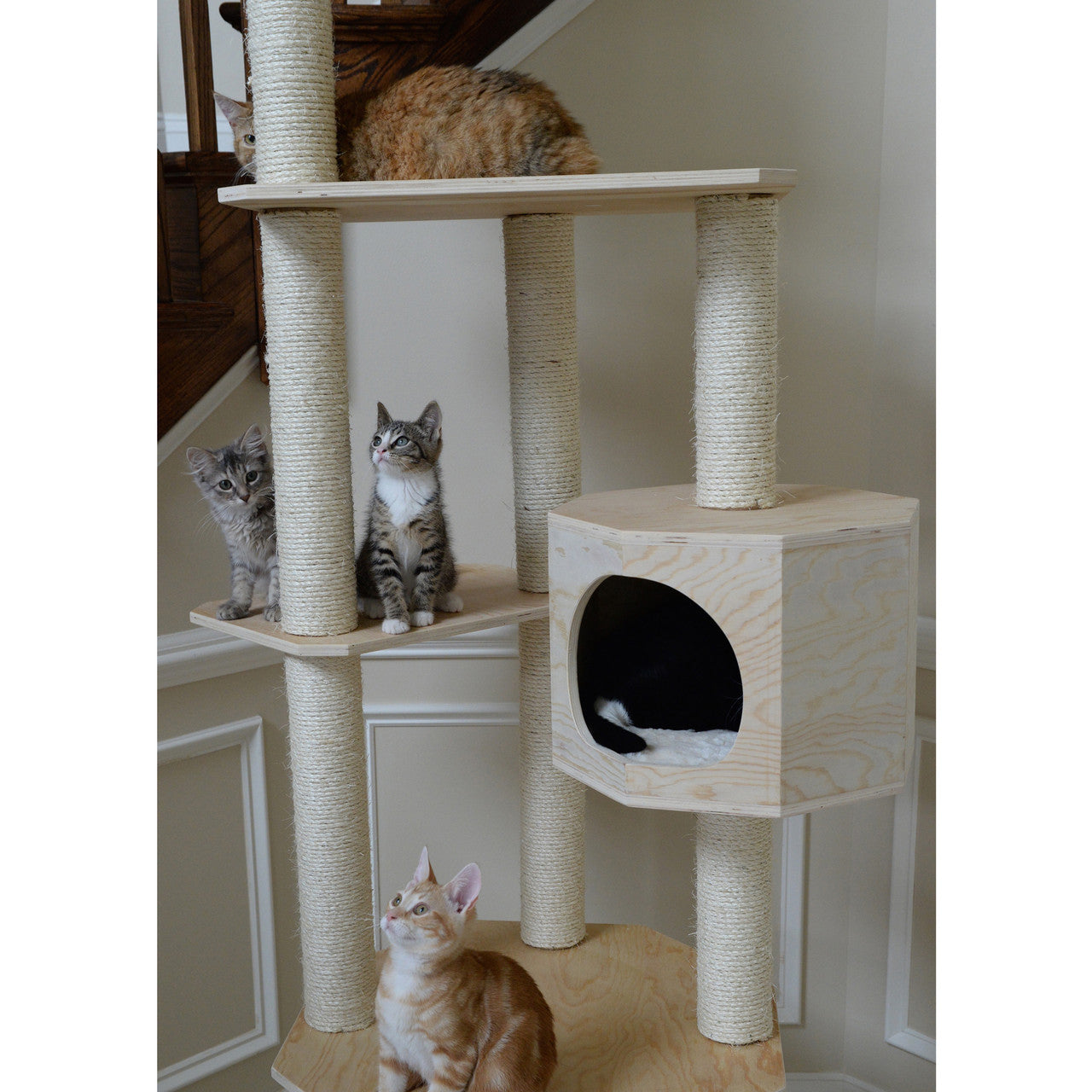 Premium Pinus Sylvestris Wood Cat Tree S8502