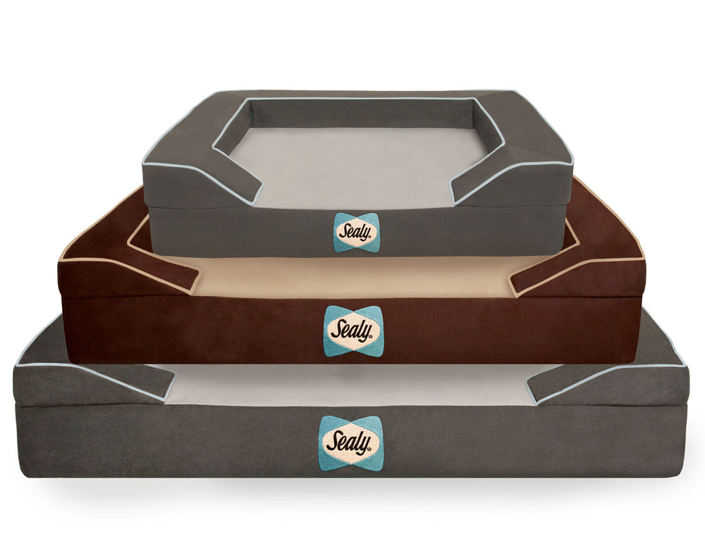 The Sealy Lux Premium Memory Foam Dog Bed