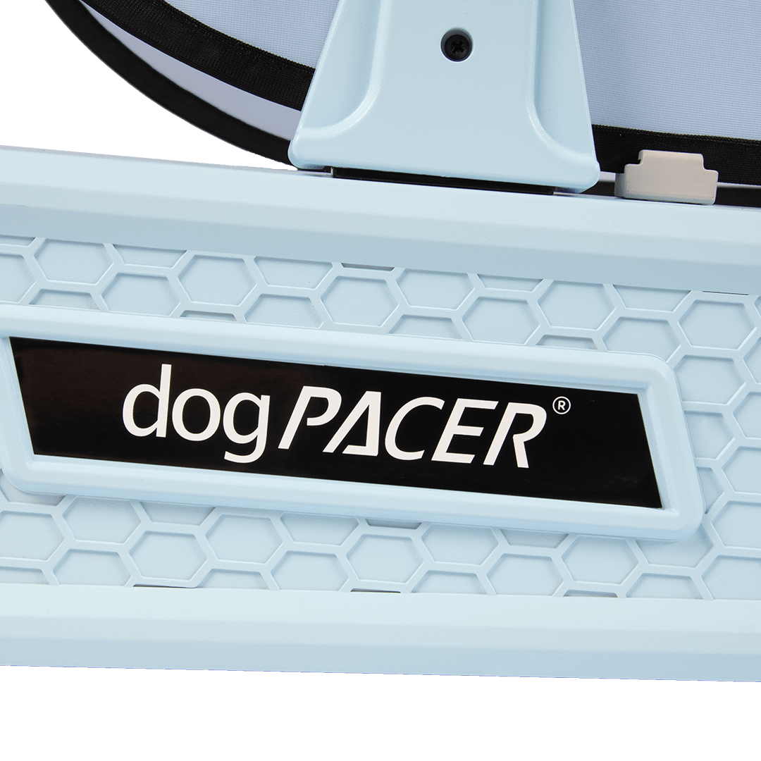 DogPACER SE- Blue Sky