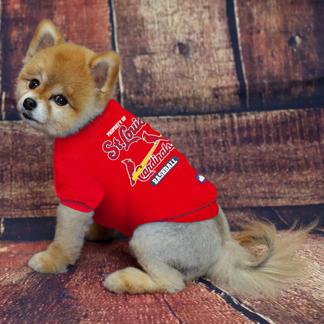 St. Louis Cardinals Dog Tee Shirt