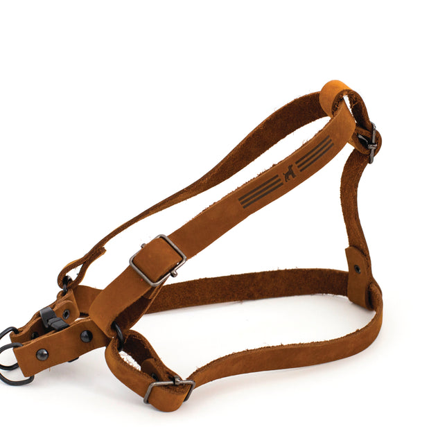 Sport Style Leather Step In Harness