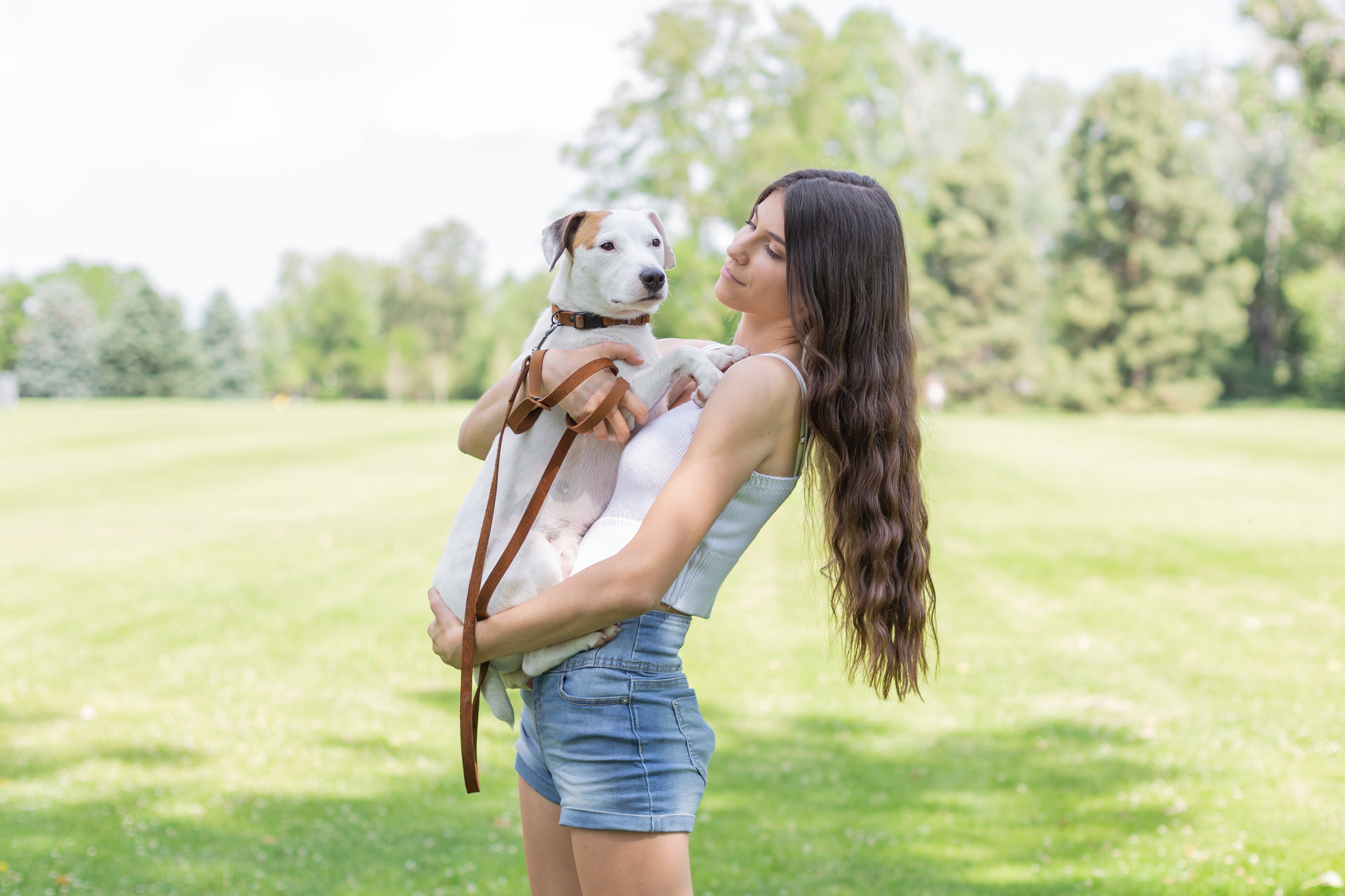 Sport Style Leather Dog Collar