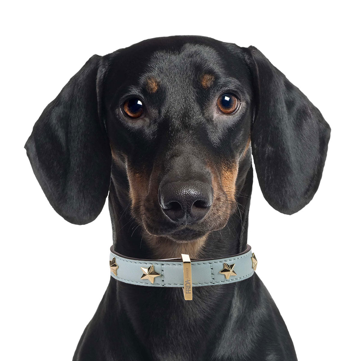 Star Stud Cloud Leather Collar