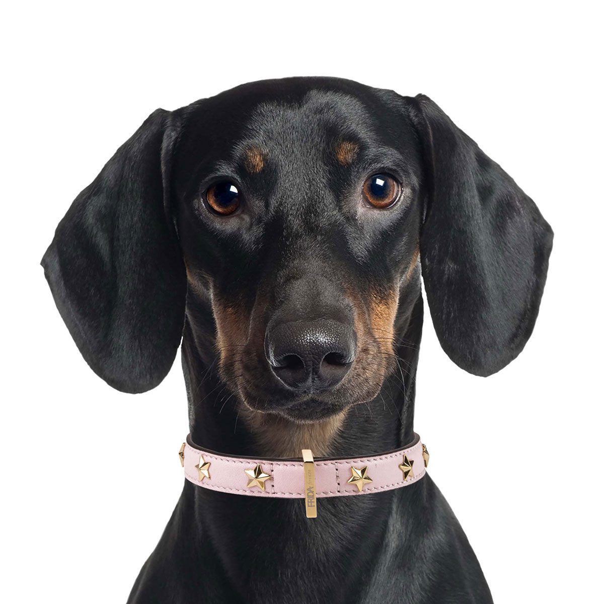 Star Stud Pink Leather Collar