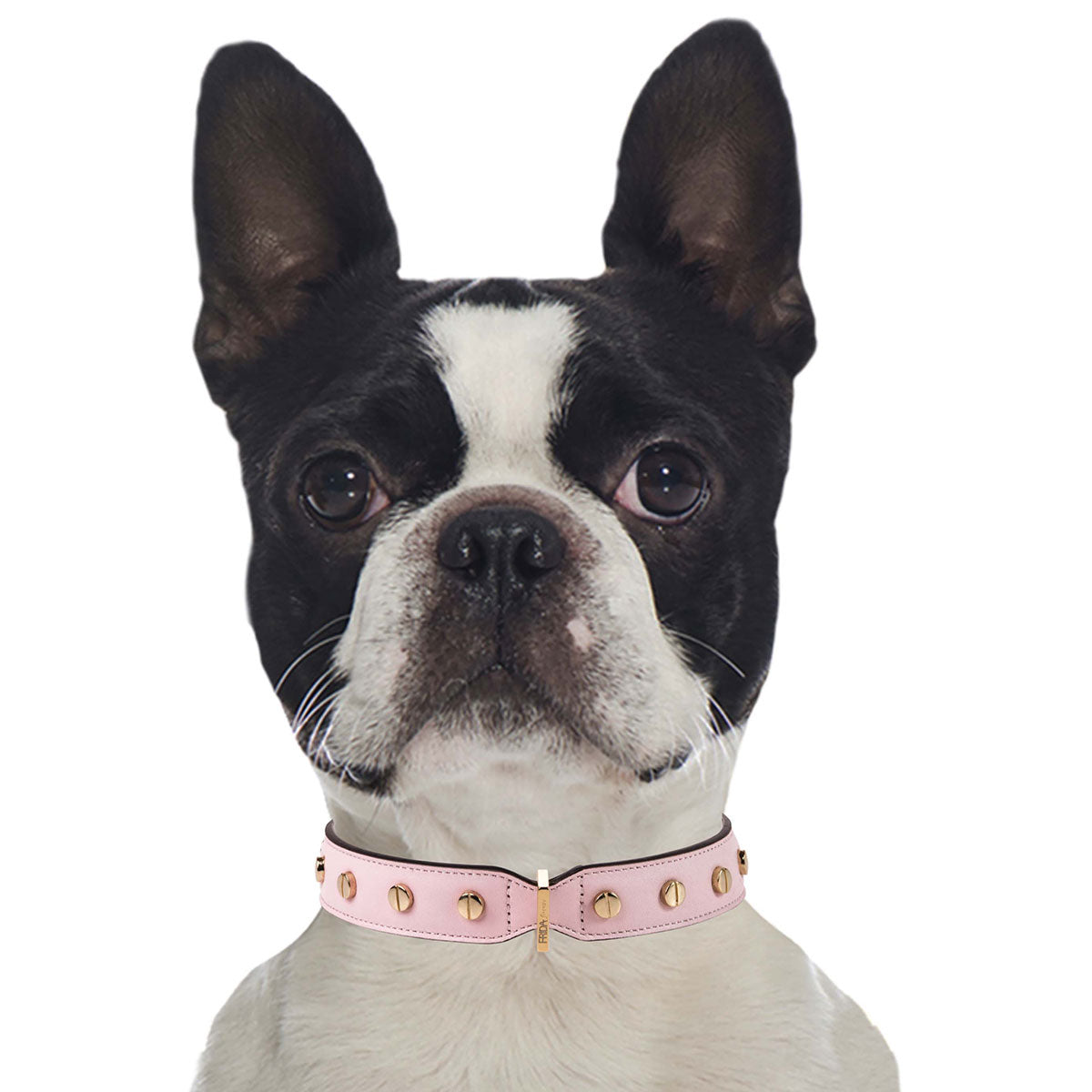 Stud Screw Pink Leather Collar