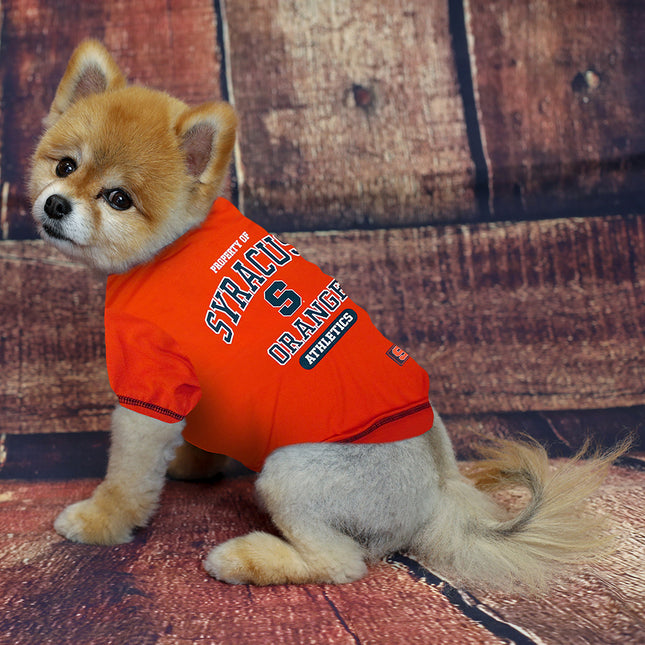 Syracuse Orange Dog Tee Shirt