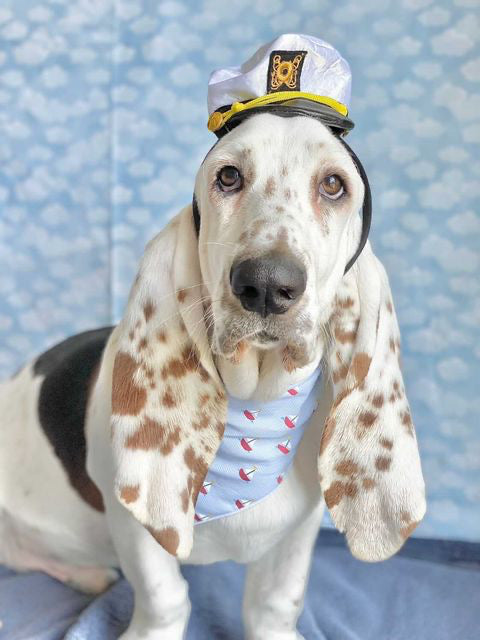 Sailboats Dog Bandana