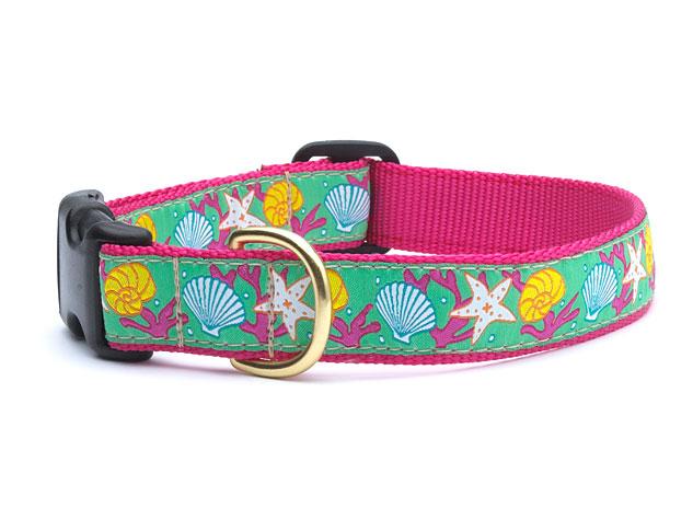 Reef Dog Collar