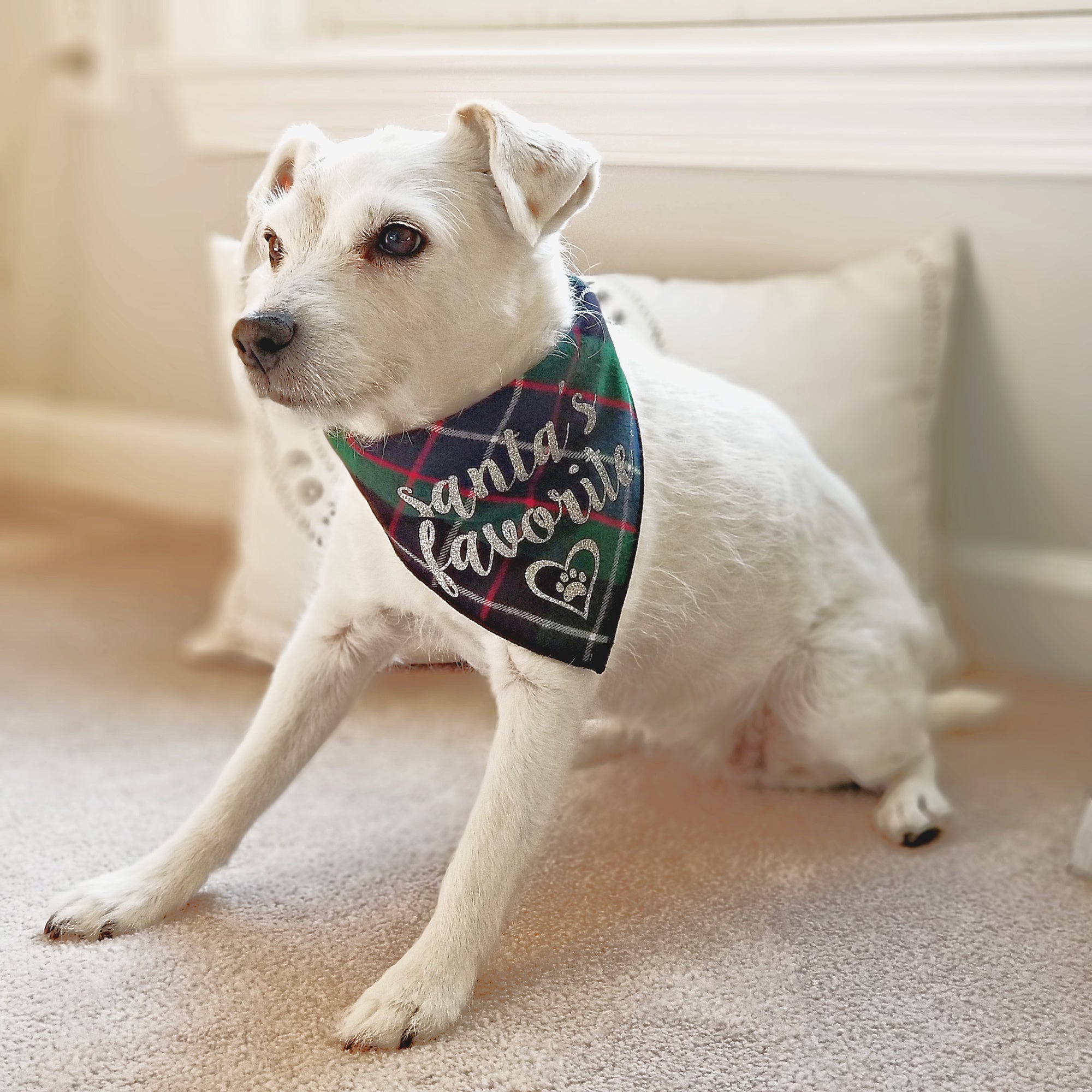 Santa's Favorite Green Plaid Bandana