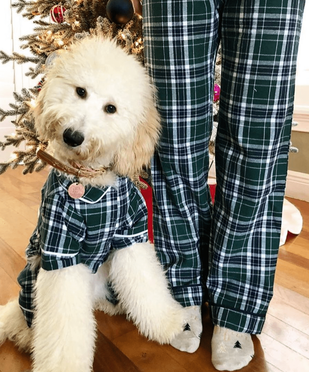 Green Plaid Flannel Matching Human Pajamas