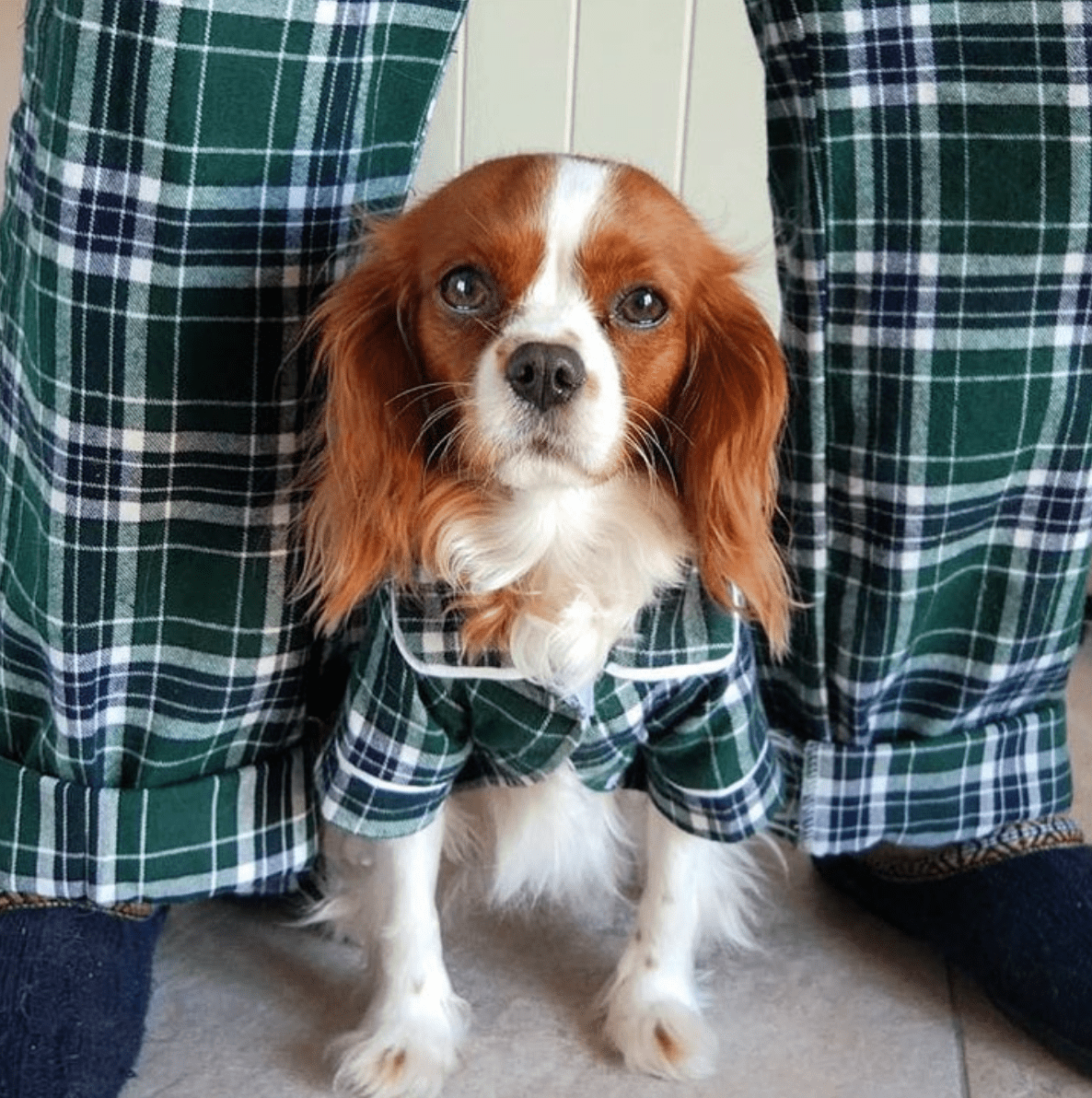 Green Plaid Flannel Matching Human Pajamas