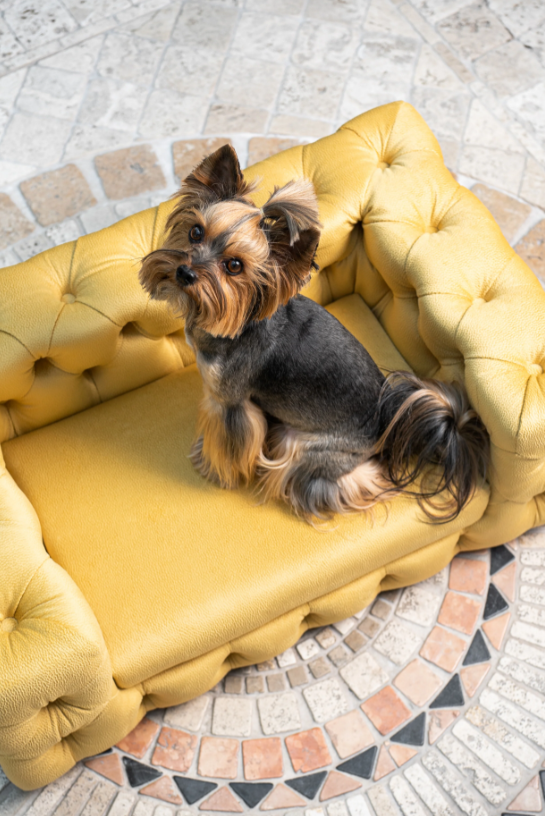 The Glamour Luxury Pet Bed in Pink