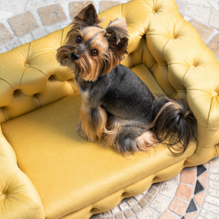 The Glamour Luxury Pet Bed in Pink