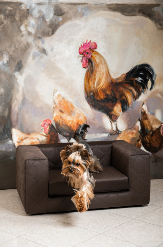 The Mystique Luxury Pet Sofa Bed