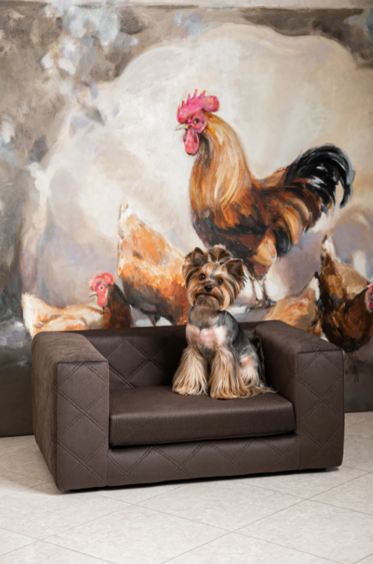 The Mystique Luxury Pet Sofa Bed Brown