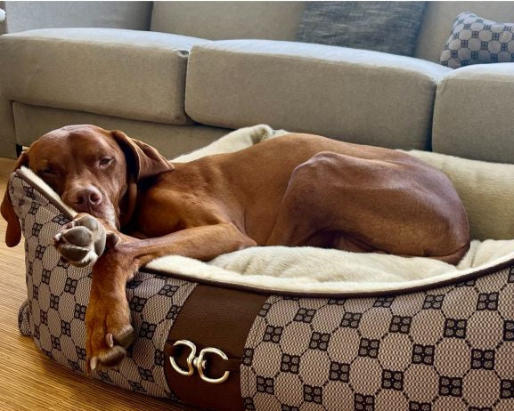 Signature Scoop Bed-Sheepskin Ivory White