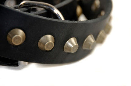 Simply Stunning Collar 1 1/2" Width