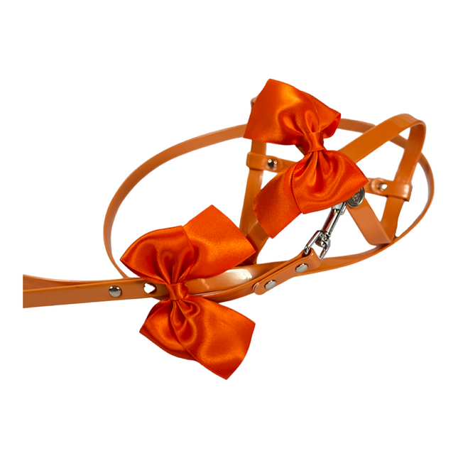 Fashion Dog Harness and Leash Set - Orange Bow