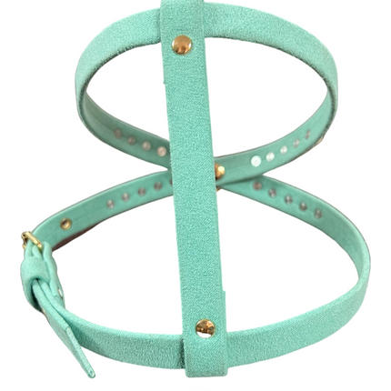 Fashion Dog Harness and Leash Set - Tiffany Blue with Pink and Pearls