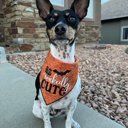 So Wickedly Cute Halloween Dog Bandana