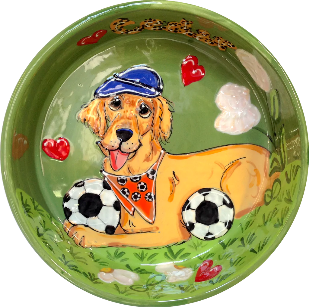 Soccer Retriever | Dog Bowl