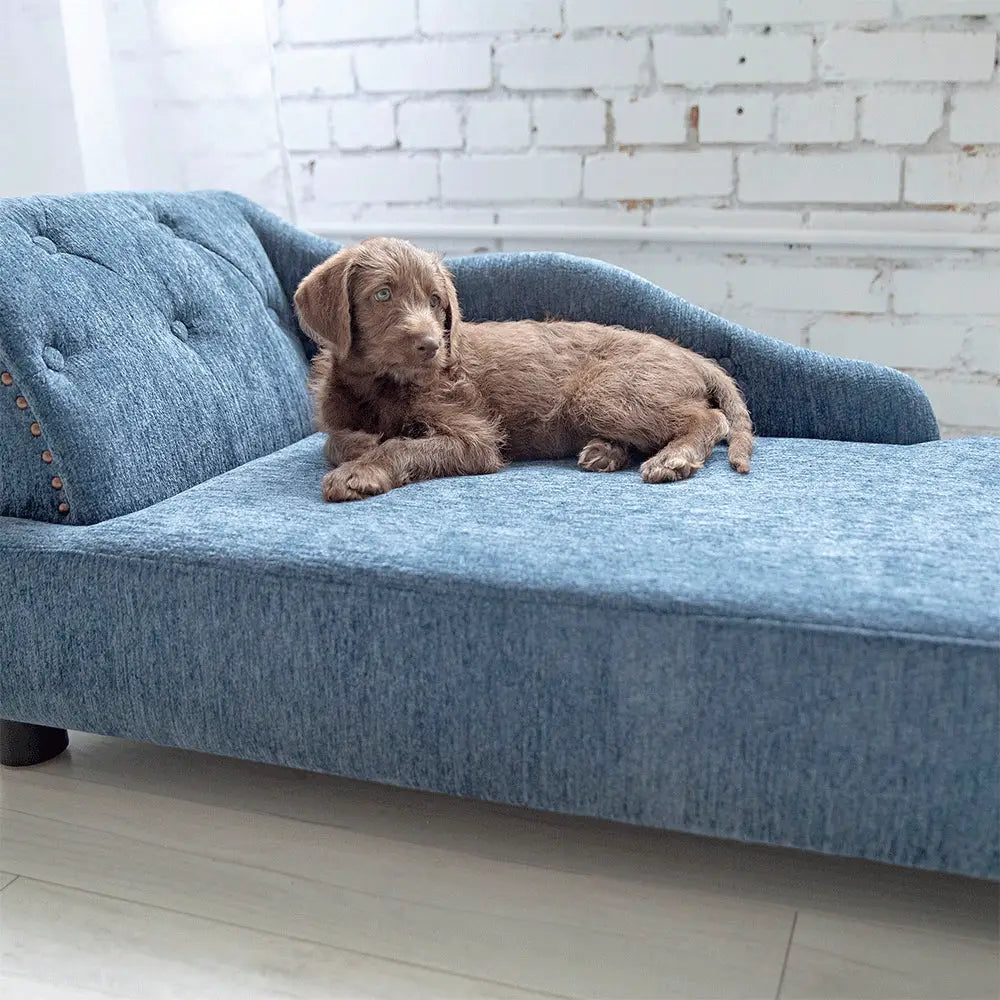 La-Z-Boy® Solana Chaise Sofa Pet Bed