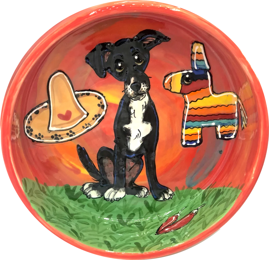 South of the Border | Dog Bowl